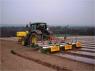 Growing maize under plastic. Farm walk on Thursday 21st November