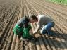 Maize Agronomy training days a great success.