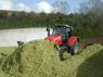 Maize Harvest tips