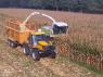 Harvest 2011 Underway